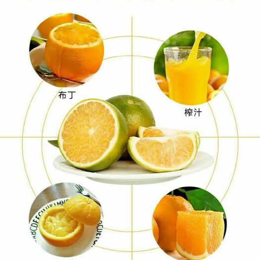 廉江市廉江红橙