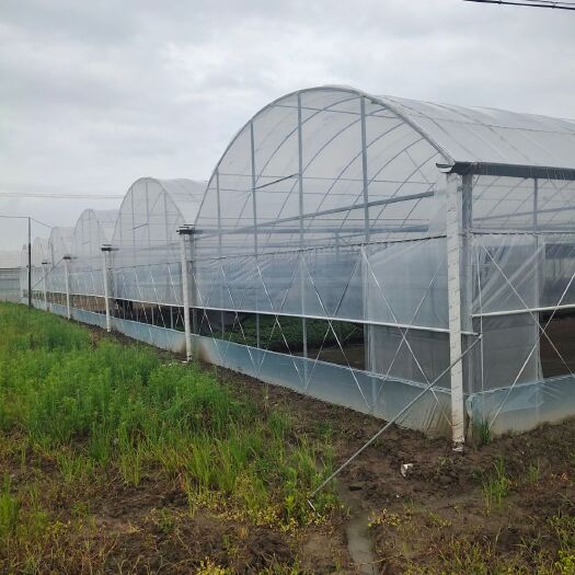 无锡连栋棚  连栋大棚 种植养殖大棚外遮阳连栋大棚