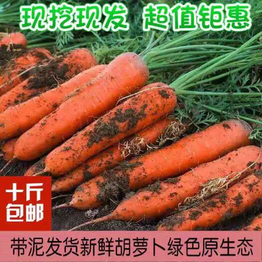 西安新鲜胡萝卜农家自种水果胡萝卜