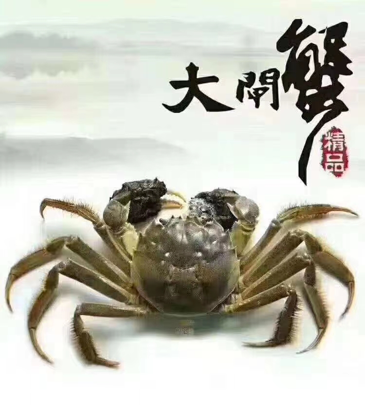 大闸蟹礼盒装代发，全国接单，茶水丰富