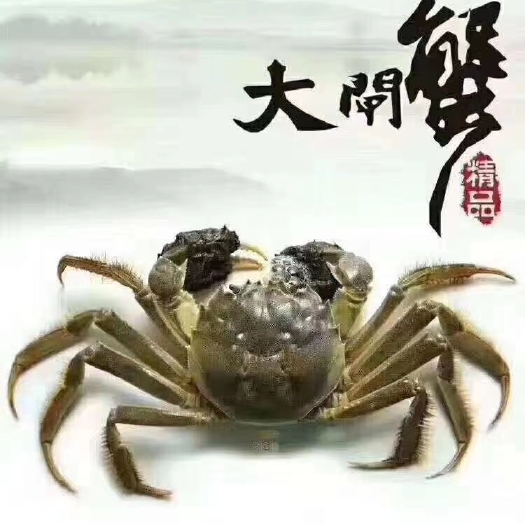 无为市大闸蟹礼盒装代发，全国接单，茶水丰富