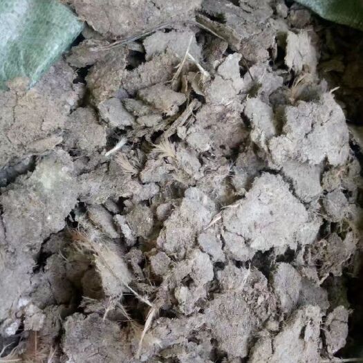 肇庆 供应广西贺州梧州桂林地区纯干无杂质鸡粪有机肥价格实惠