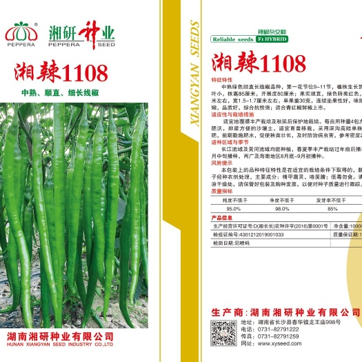 临沂螺丝椒种子 中熟长线椒，顺直，产量高，抗病能力强