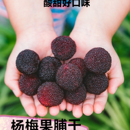 迁安市杨梅蜜饯  杨梅果脯干晒制酸甜杨梅果脯干包邮