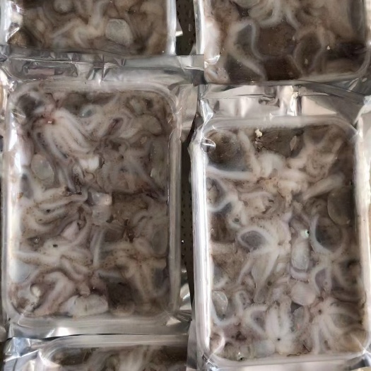 莱州市章鱼 八爪鱼，八带！活冻八爪鱼