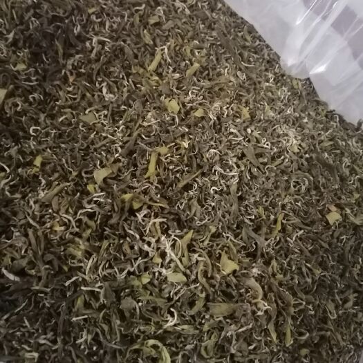桂东县高山绿茶特浓香型餐馆饭店口粮茶