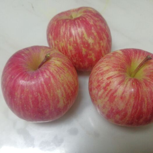 威海红富士苹果  自家种植的无公害良心的苹果，小孩大人都可以放心大胆的吃