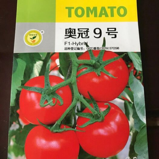 咸阳红果番茄种子  以色列引进大红果西红柿种子，耐热、抗病、耐裂