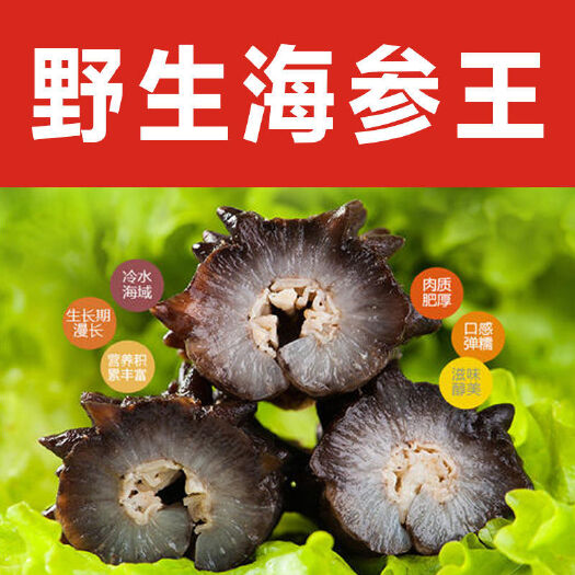 烟台短刺海参  即食海参单个装大连刺参辽参辽宁海参即食500g鲜