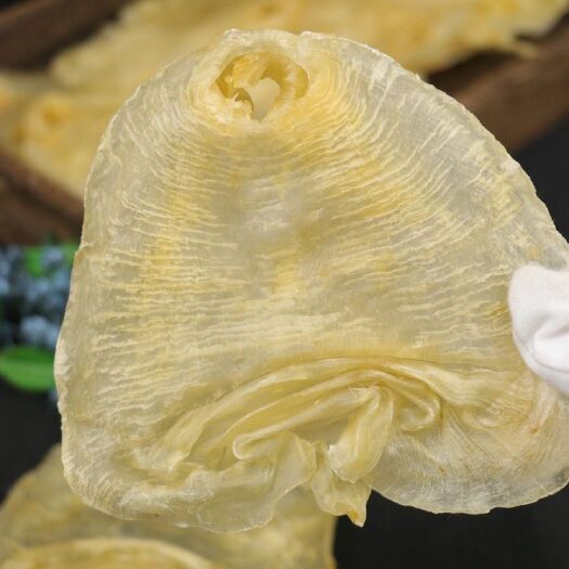 花胶鱼肚顺风胶湛江鳘鱼赤嘴鱼胶滋补类干货备孕孕妇月子鱼胶