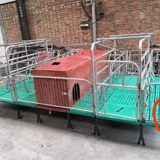 泊头市母猪产床  产保一体双位产床