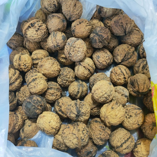龙陵县泡核桃  今年新核桃，自然晒干、新鲜皮薄