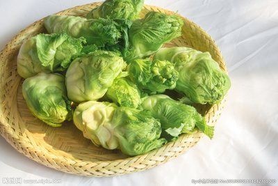 浏阳市早熟儿菜 抱子芥