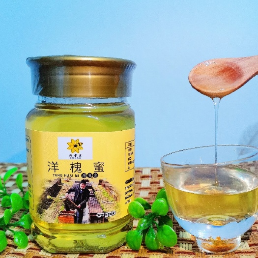 武汉槐花蜜  【韩蜜淳】洋槐蜂蜜