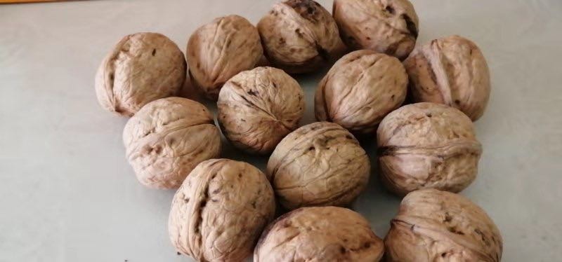 澄城县纸皮核桃 30mm以上 散装 6-12个月 