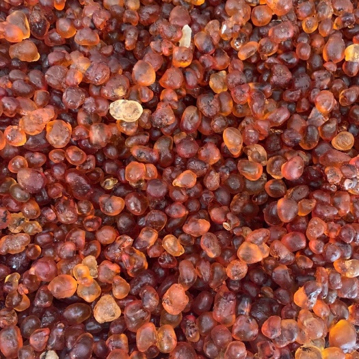 玉林食用桃胶 桃胶