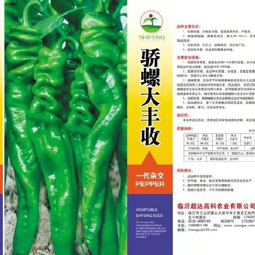 临沂螺丝椒种子 早熟，大果，膨果快，抗病，产量高