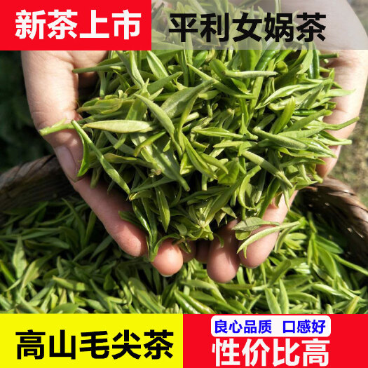 平利县八乡云雾茶  绿茶