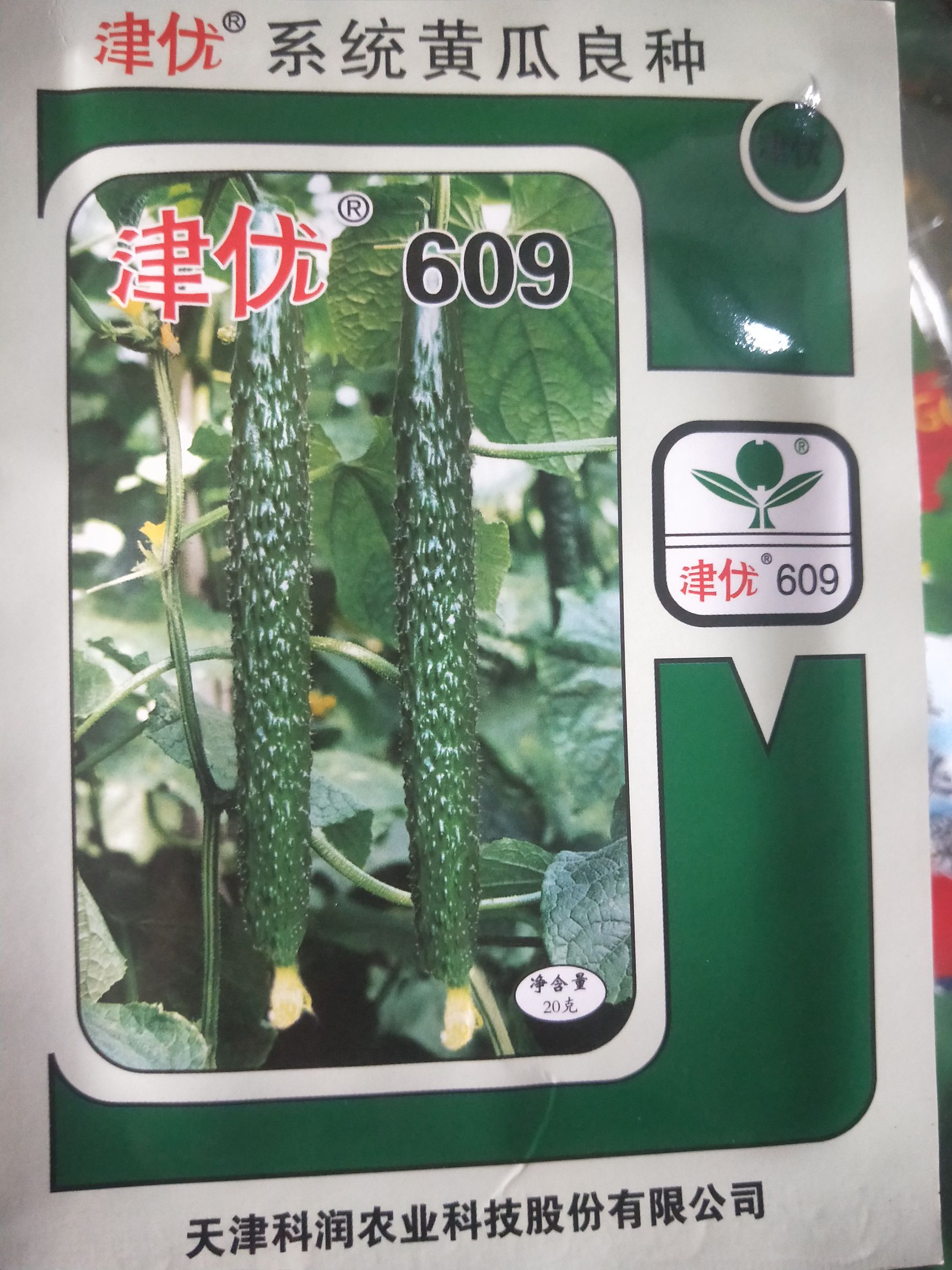 夏邑县黄瓜种子  强磁油亮，顺直，青瓤青肉，不脱节，连续带瓜能力及强