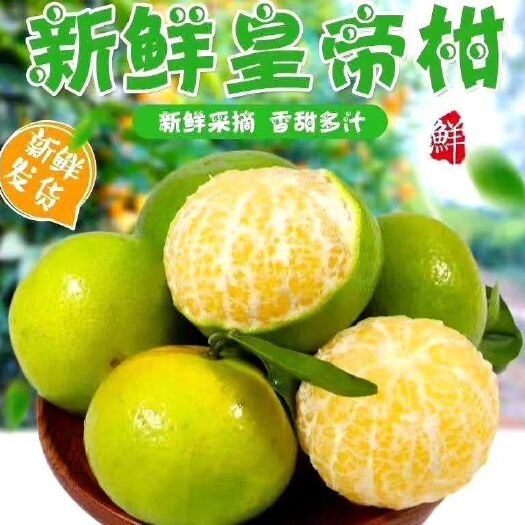 象州县皇帝柑产地直销