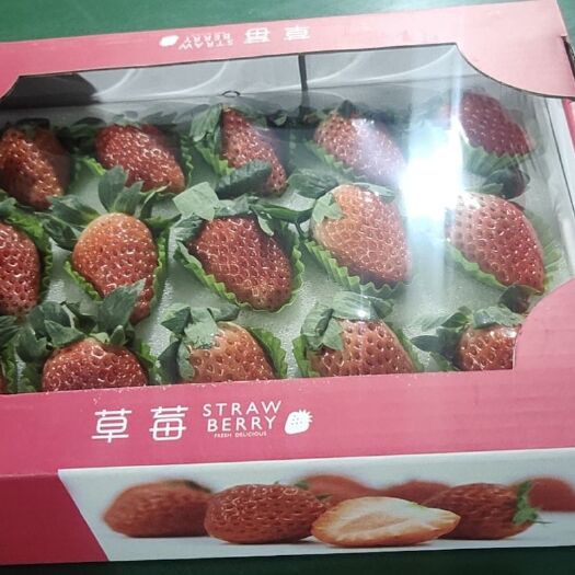 平度市奶油草莓  章姬精品包装发货，各大超市电商平台