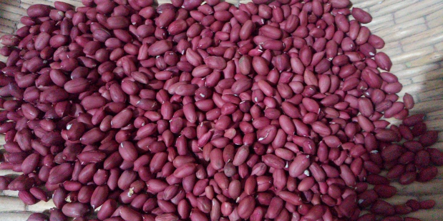 米四粒红花生米