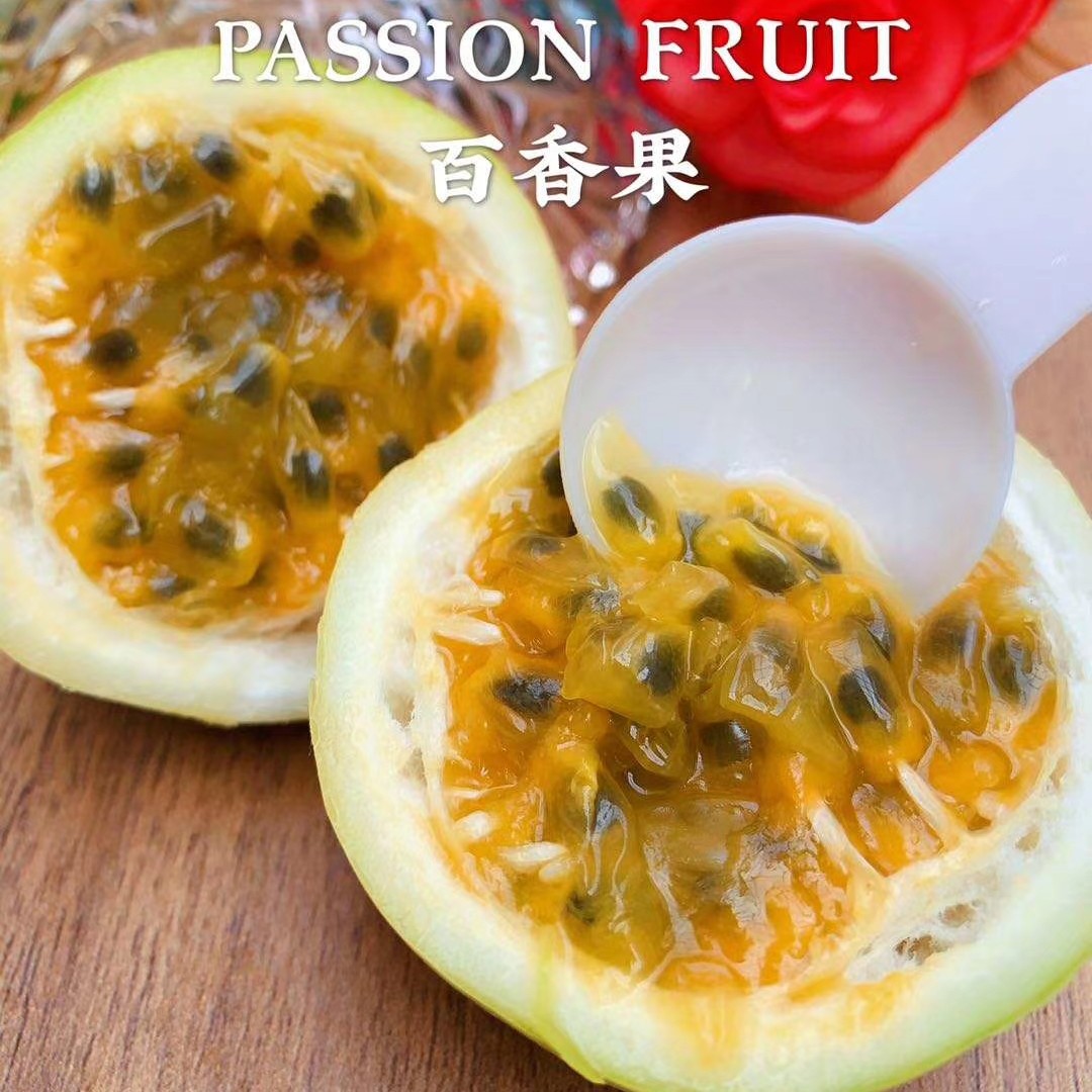 黄金芭乐味百香果苗