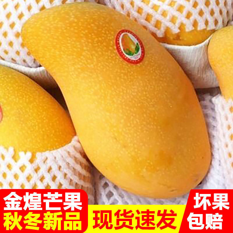 南宁【现货现发 】金煌芒果当季甜心热带新鲜水果批发包邮