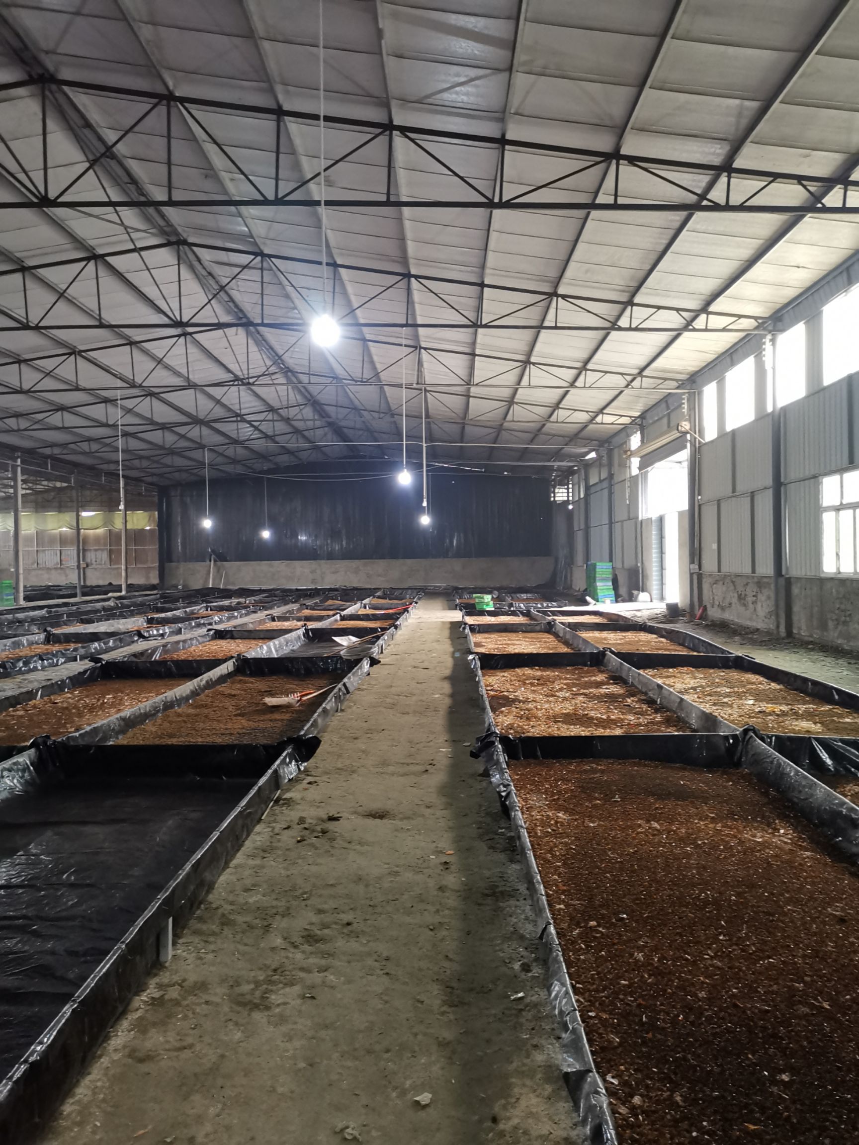 120目五谷虫蝇蛆粉/黑水虻蛋白粉/昆虫蛋白原料/宠物饲料