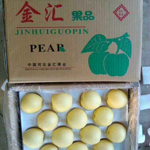 饶阳县皇冠梨