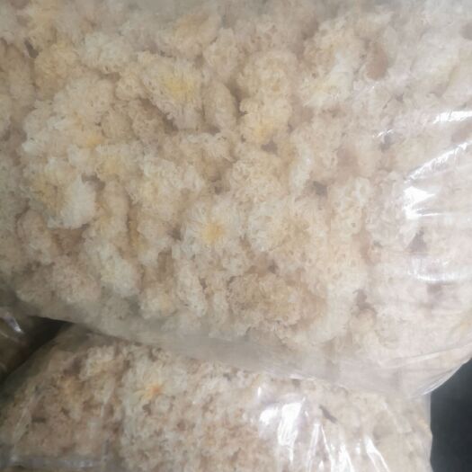 广水市银耳碎片 椴木银耳