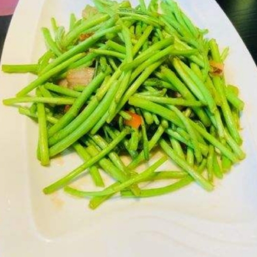 天门市藜蒿 新鲜泥蒿黎蒿芦蒿现摘现发