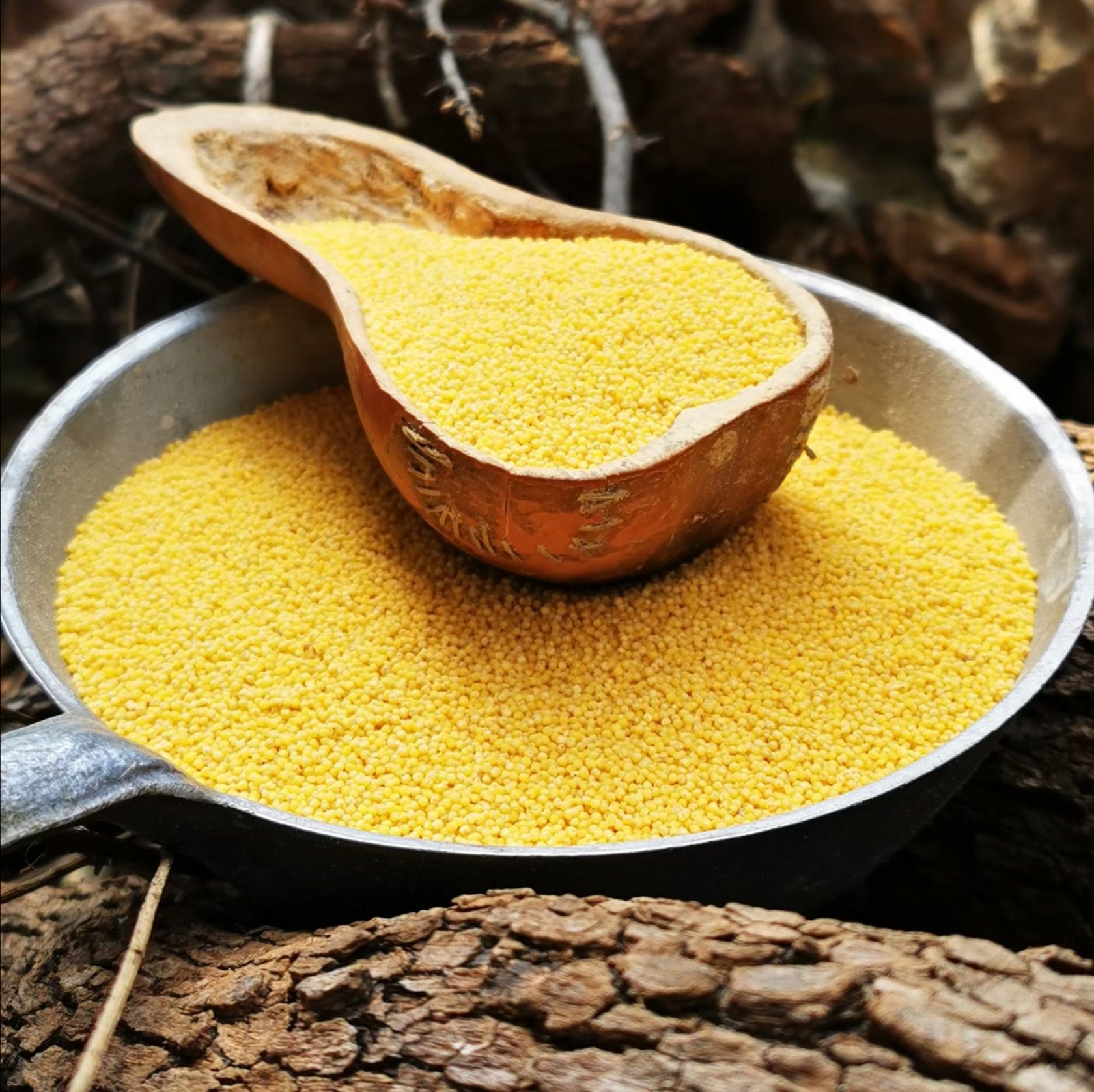 红小米  太行山梯田农户石撵红谷米（带点米糠）营养更全面养胃包邮