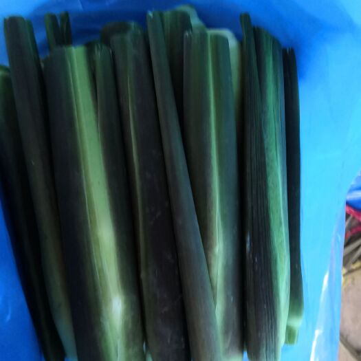 宜黄县911流水种植、无漂白双季茭白，一级品