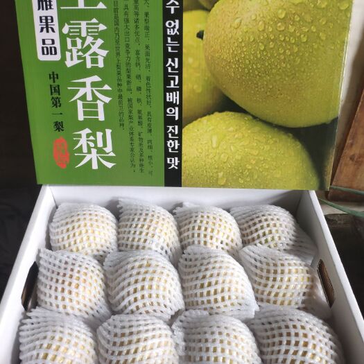 汾西县玉露香梨，水多包甜，来自山西汾西