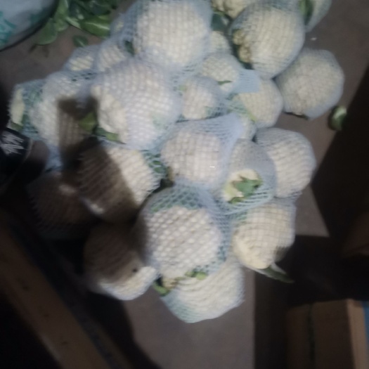 邯郸白花菜花  大量供应，质量保证，诚信第一需要的老板们砸单了哦