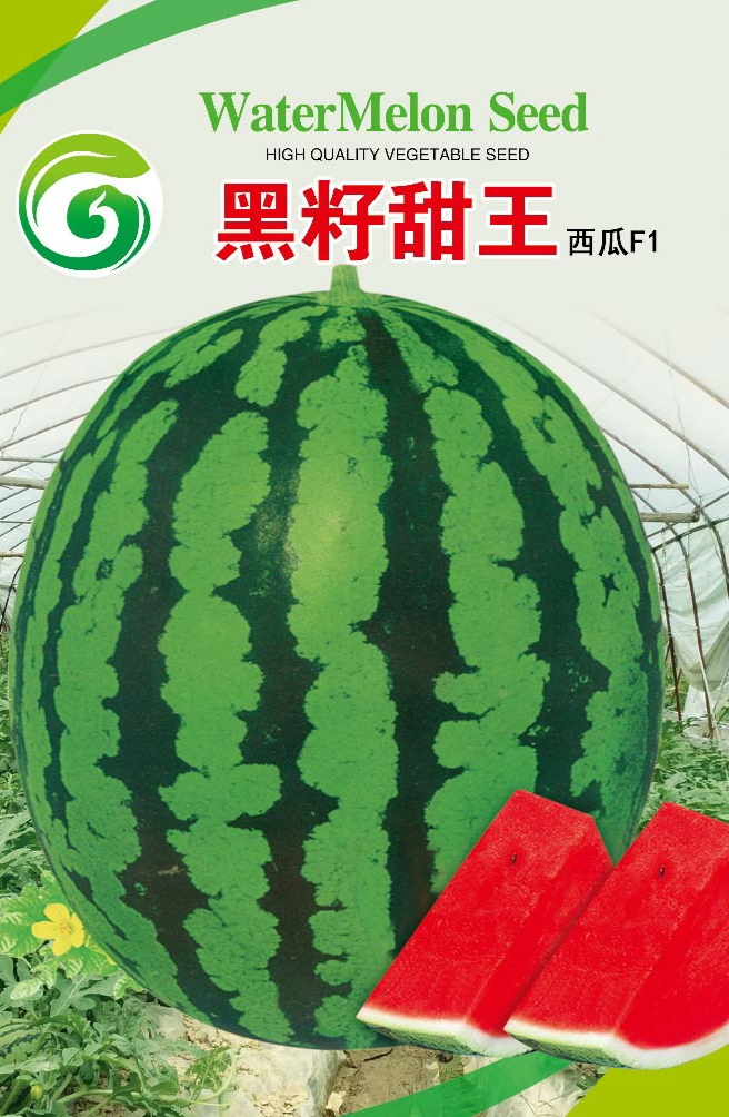 青州市冰糖麒麟王西瓜种子 早熟，大红瓤，小黑籽高品质甜王西瓜