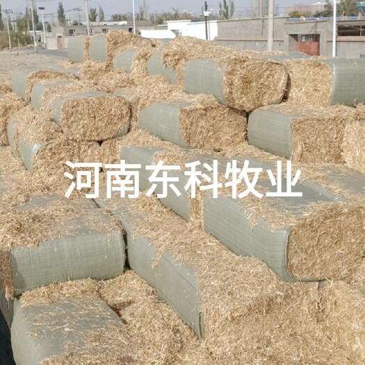 怀远县小麦秸秆 