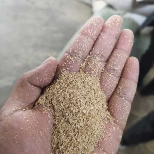 正定县蛋白质饲料  小米糠2-3道