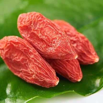 红枸杞 宁夏大粒枸杞新货无熏硫天然农家特级苟杞产地批发