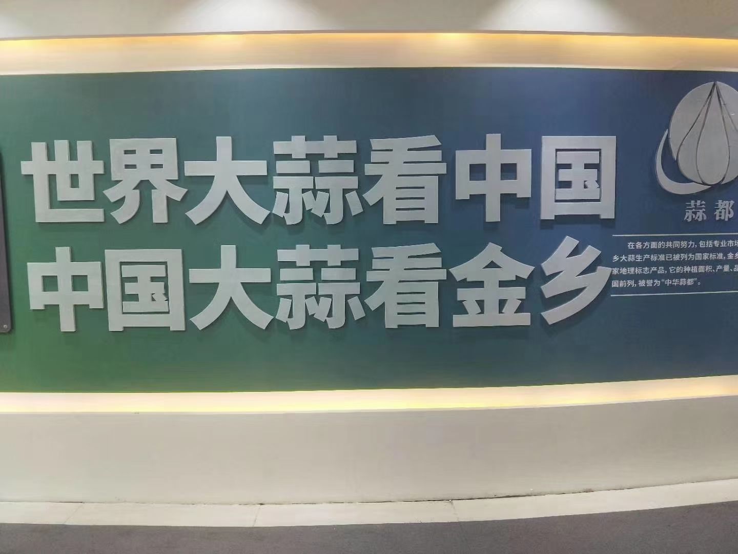 金乡正品杂交蒜米 原产地发货一级高标准风干