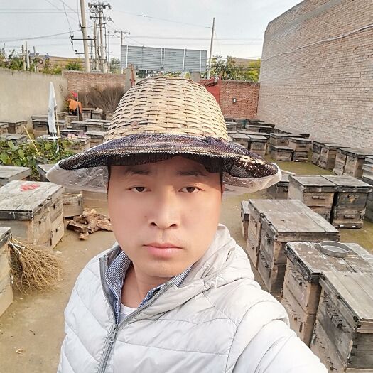 大荔县槐花蜜  洋槐蜂蜜【产地：甘肃