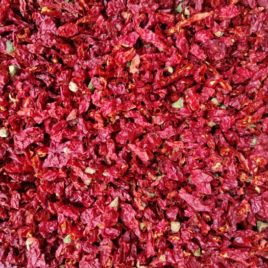 茶陵县新疆干线椒切断切节！