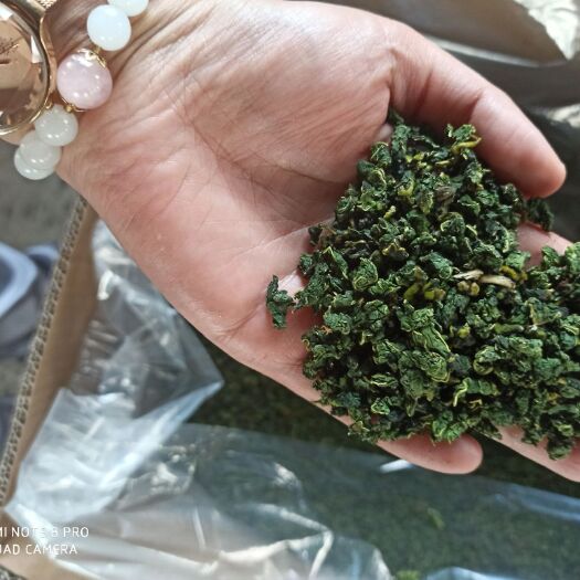 滕州市颗粒桑叶茶，桑叶沫