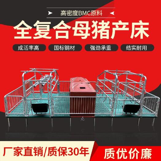 卫辉市 全复合母猪产床产保一体产床热镀锌双体母猪妊娠床