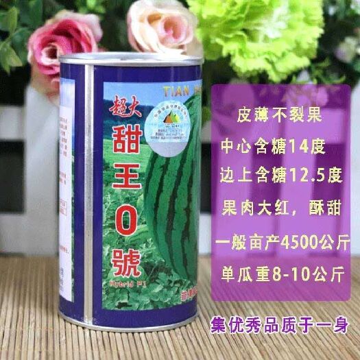 夏邑县甜王西瓜种子  超大甜王