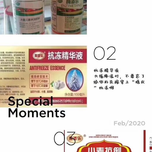 内黄县叶面肥  今年冬天极大可能是寒冬的情况下，作物抗冻是有必要的
