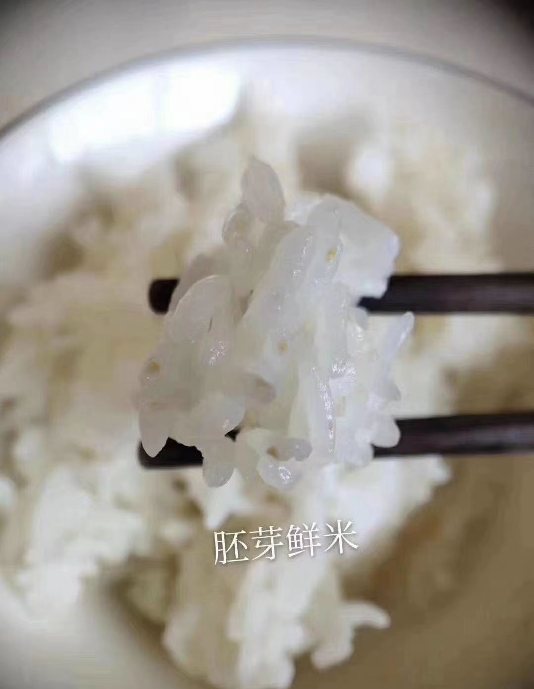  新鲜胚芽米，营养好美味！建议1-15天食用为佳。