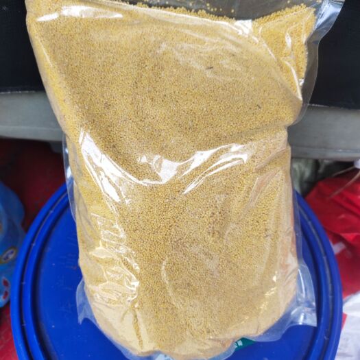 夏县黄小米  小米