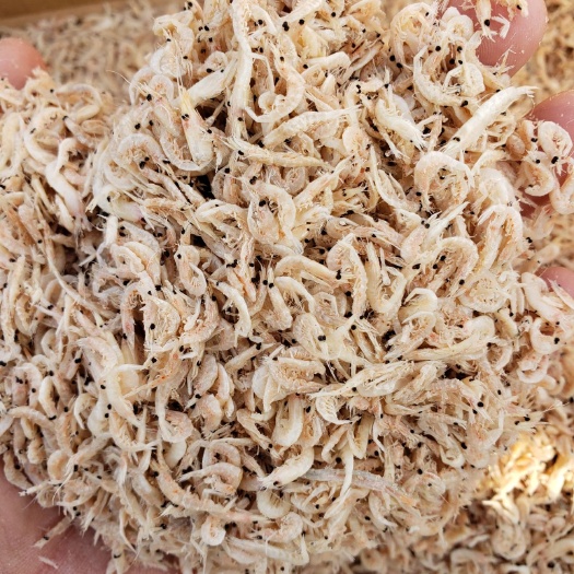 滨州现有精品渤海湾咸虾皮干度好价格美丽，电商团购，做调味品一手货